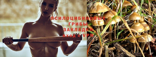 бошки Абдулино