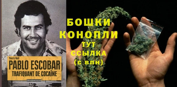бошки Абдулино